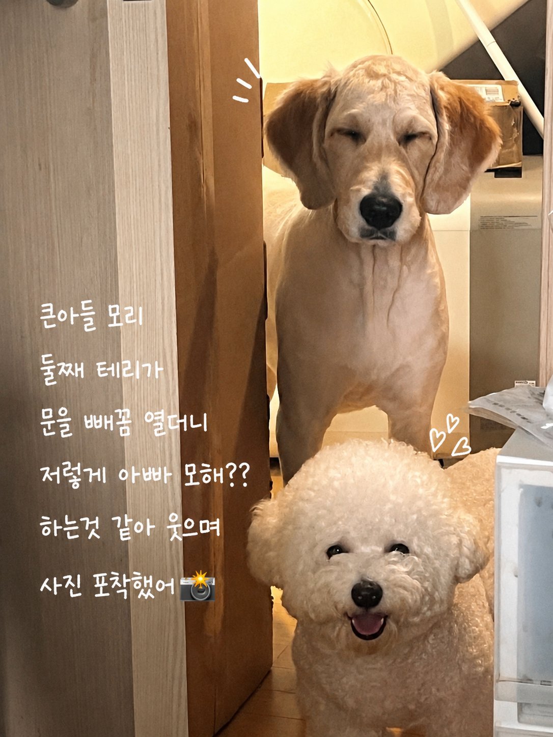 모리테리아빠의 게시물