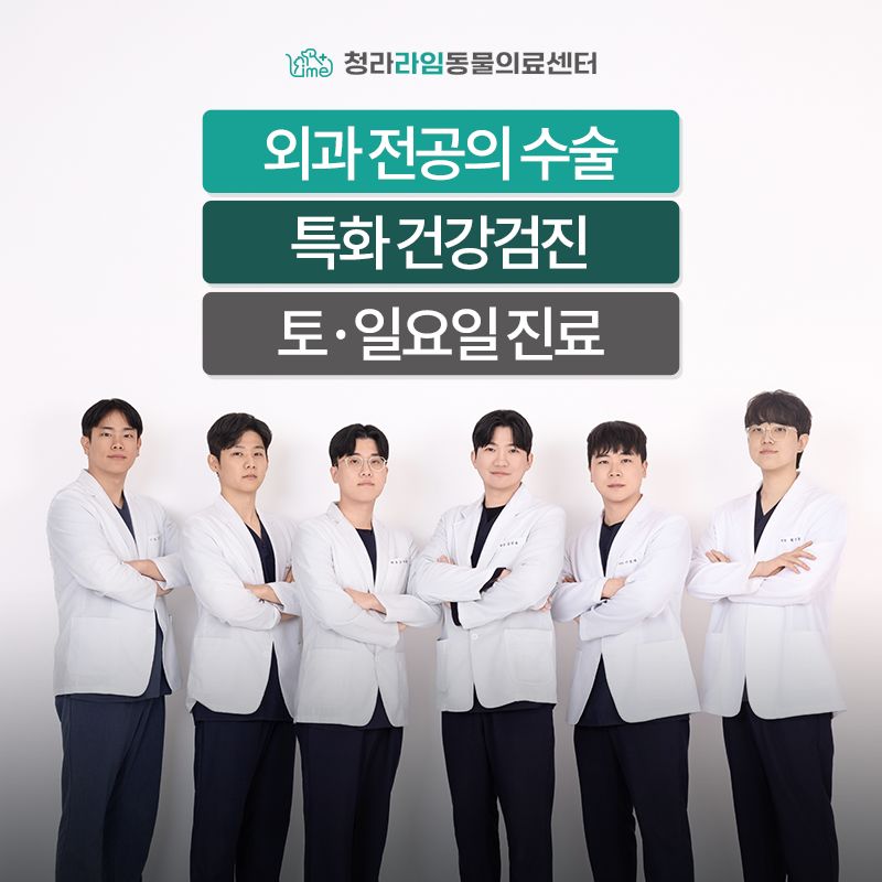 청라라임동물의료센터