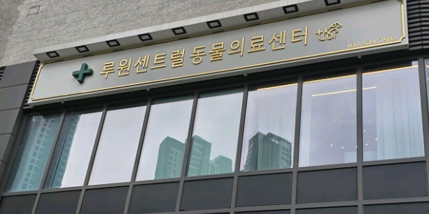 루원센트럴동물의료센터