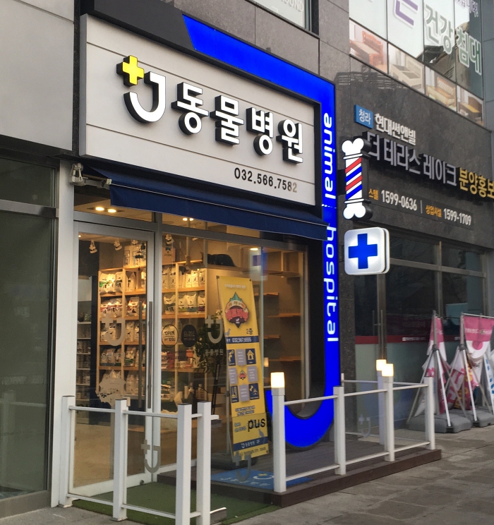 J동물병원