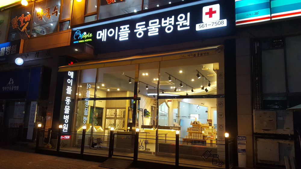 메이플동물병원