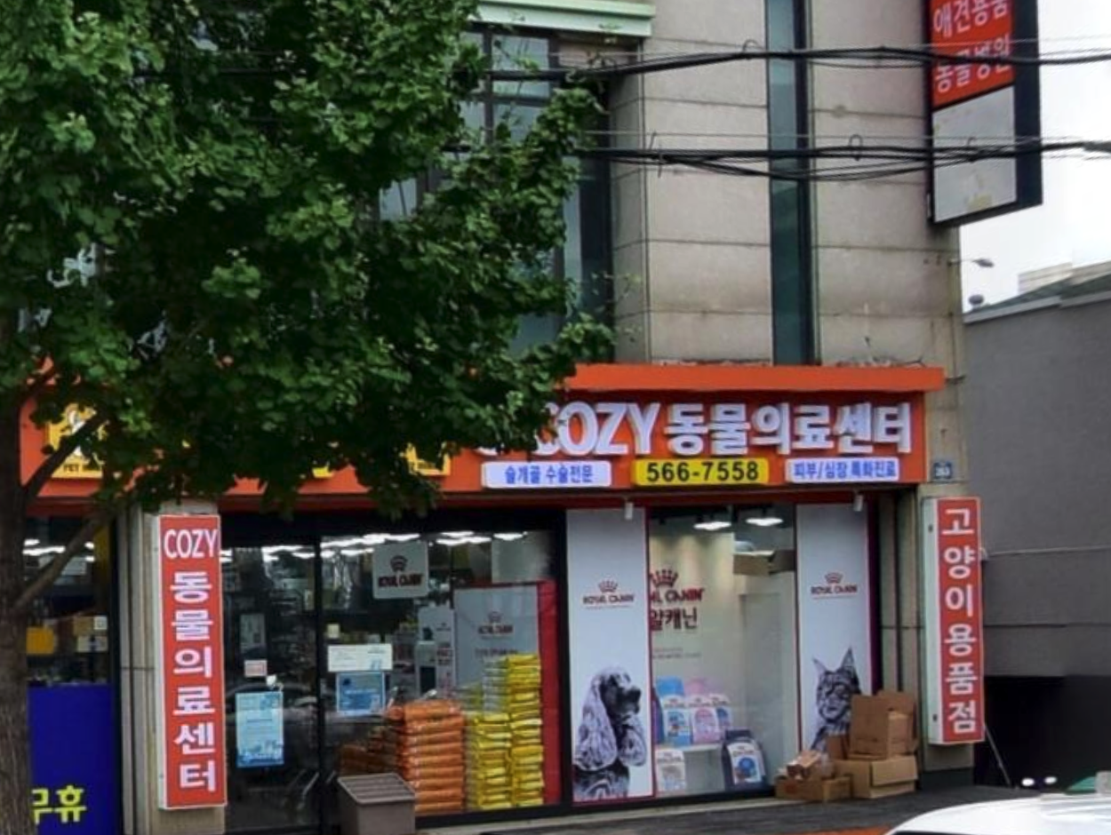 코지동물의료센터 서구청점