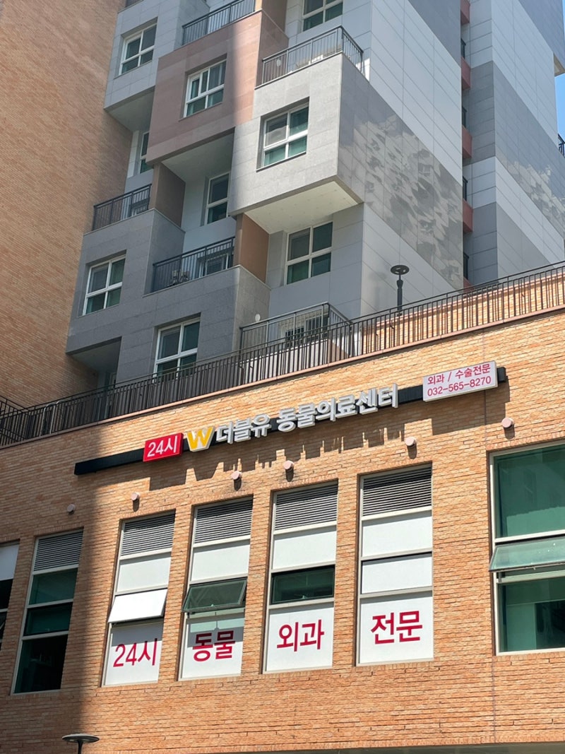 24시 더블유동물의료센터