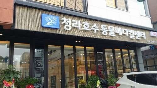 청라호수동물병원