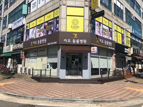이오동물병원