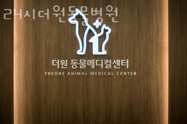 24시더원동물병원